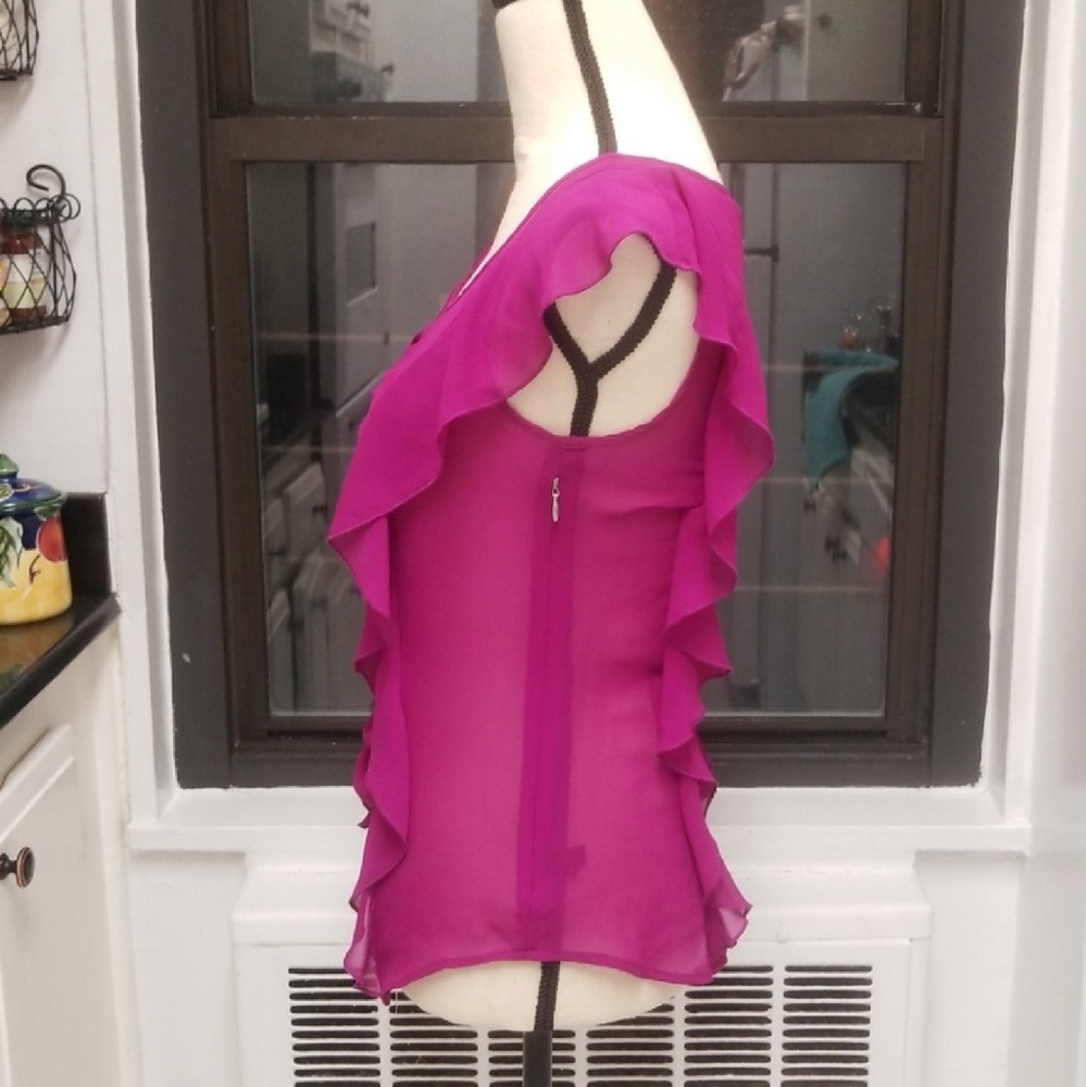 Express Sheer Ruffle Blouse - Picture 3 of 5